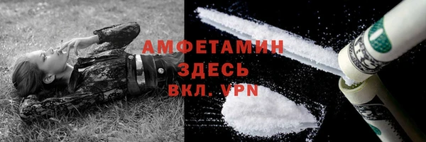 шишки Покачи