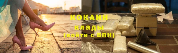 шишки Покачи
