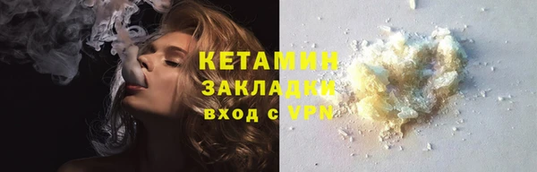 шишки Покачи