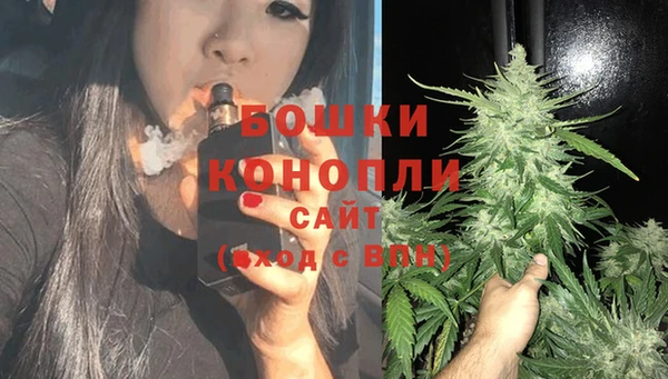 стаф Покровск