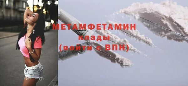 шишки Покачи