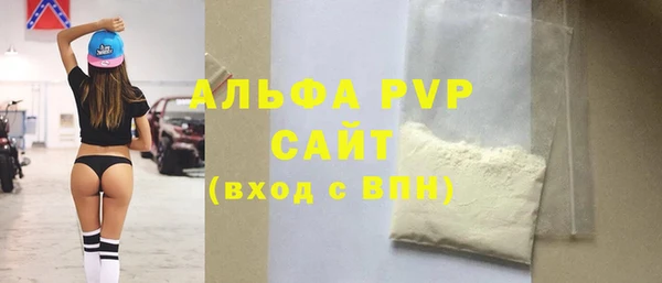 сатива Сосновый Бор