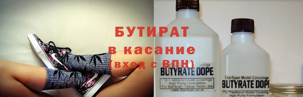 шишки Покачи