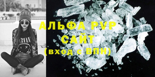 шишки Покачи
