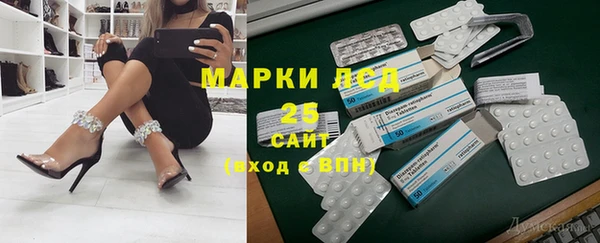 шишки Покачи